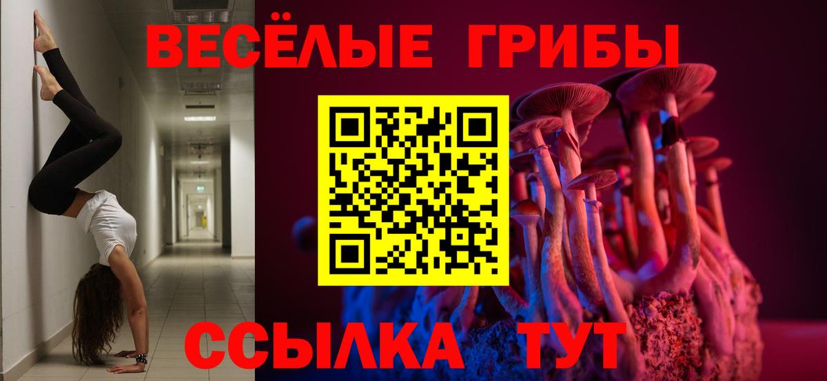купить  цена  Вход с VPN  Тамбов  Псилоцибиновые грибы MAGIC MUSHROOMS 