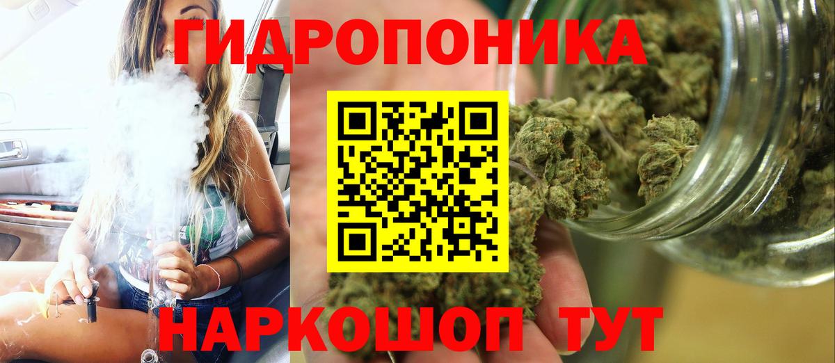 МАРИХУАНА план Тамбов